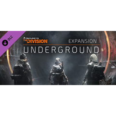 Tom Clancy&acute;s The Division - Underground (Steam Gift RU)