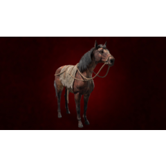 ✅Diablo® IV😈Orichalcum Speckled Mare (KEY)🔑✅