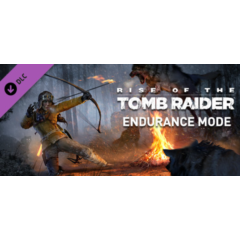 Endurance Mode (Steam Gift Россия)