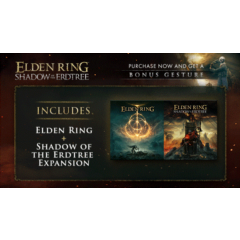 ELDEN RING Shadow of the Erdtree Edition steam РФ\МИР