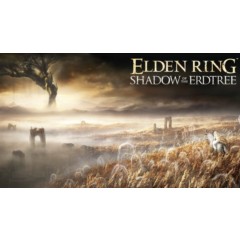 ⚔️ELDEN RING Shadow of the Erdtree ⚔️ Steam Gift⚔️