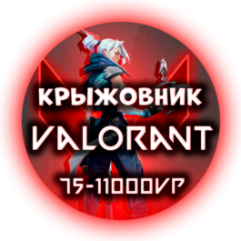 24/7🚀RUSSIA/EU🔑 VALORANT POINTS🔴75-11000 VP🔴CODES