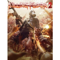 🧟Killing Floor 2🩸Deluxe Edit Restricted💣Ключ Steam