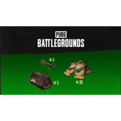 🔑 PUBG ✅ Эксклюзивный набор Выжившего № 2 КЛЮЧ XBOX🔑