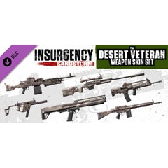 Insurgency: Sandstorm - Desert Veteran Weapon Skin Set 