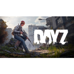 ✔️ DayZ РОССИЯ - Автодоставка