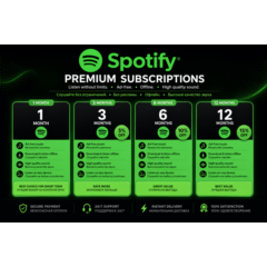 1-3-6-12 месяц Spotify PREMIUM [ГАРАНТИЯ] 🎵НА ВАШ АККАУНТ продажи
