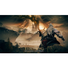 ELDEN RING Shadow of the Erdtree  ⭐STEAM⭐