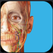 ☑️⭐Human Anatomy Atlas 2025 Complete 3D⭐Microsoft Store