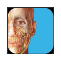 Human Anatomy Atlas 2025 Complete 3D⭐Microsoft Store