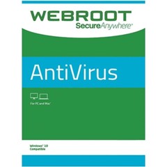 Webroot Antivirus Глобальный Ключ до 11.02.2025