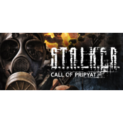 S.T.A.L.K.E.R.: Call of Pripyat (Steam Gift Россия)