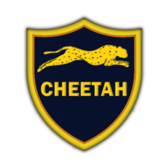 Cheetah Pro Tool - аренда аккаунта