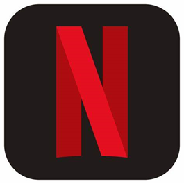 NETFLIX SHARE 30 DAYS ONLY FOR PC