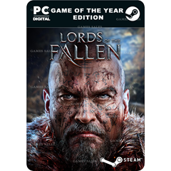 ✅💙LORDS OF THE FALLEN™ 2014💙STEAM GIFT🤖АВТОДОСТАВКА