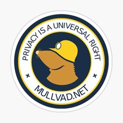 🦉Mullvad VPN Premium🦉  АККАУНТ 2026 ГОДА I ГАРАНТИЯ🦉