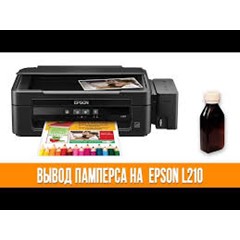 Сброс памперса  Epson : L210