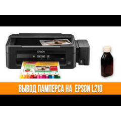Сброс памперса  Epson : L210