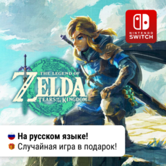 The Legend of Zelda: Tears of the Kingdom | Switch