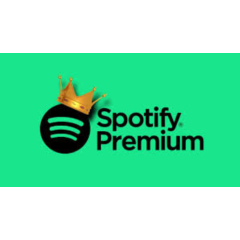 Spotify Premium на вашем аккаунте на 1–12 месяцев