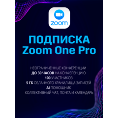 Zoom One Pro Подписка на ГОД - Зум Про