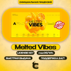 ⚫️ Native Instruments – Melted Vibes [1OO% лицензия]