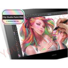 Clip Studio Paint PRO 4 ключ🔑Россия