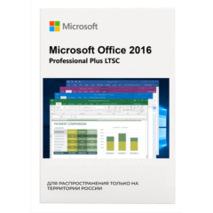 Microsoft Office 2016 LTSC Professional Plus