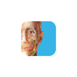 3D Dental Human Anatomy Atlas 2025 ✅ Microsoft Store PC