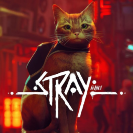 Stray 🐈XBOX ONE vs SERIES x PC❗Fast to any account❗