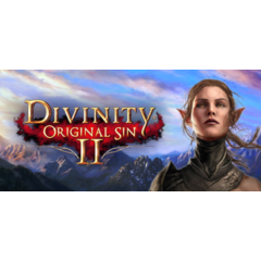 Divinity: Original Sin 2 - Divine Edition * STEAM RU🔥