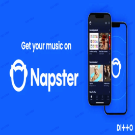 🔥Napster Premium 🔥Account🔥1 Months🔥warranty🔥