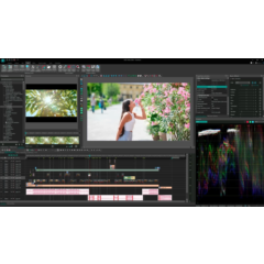 VSDC Video Editor Pro 1 Год Лицензии ( 64 Бит)  2025