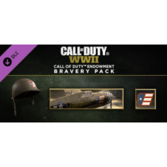 Call of Duty:WWII - Call of Duty Endowment Bravery Pack (DLC)✅Region free❗Steam Key🚀