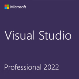 Visual Studio 2022 Professional / Perpetual license