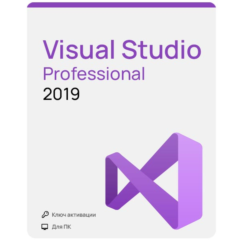 Visual Studio 2019 Professional / Бессрочная лицензия