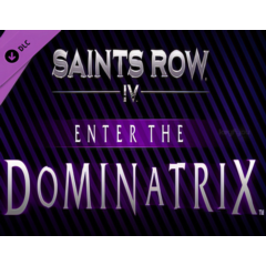 Saints Row IV -  Enter The Dominatrix / STEAM DLC КЛЮЧ