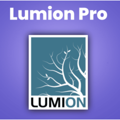 LUMION PRO 1 пользователь - ключ 6 месяцев ( edu )