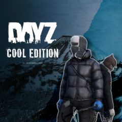 🎁DayZ Cool Edition🌍МИР✅АВТО