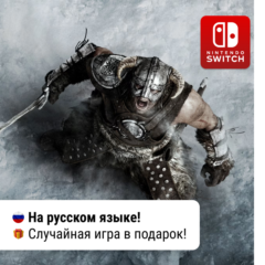 The Elder Scrolls V: Skyrim | Nintendo Switch