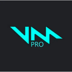 VOICEMOD PRO - НЕОГРАНИЧЕННАЯ ЛИЦЕНЗИЯ