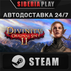 Divinity: Original Sin 2 - Divine Edition STEAM АВТО