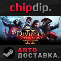 Divinity: Original Sin 2 - Eternal Edition STEAM АВТО