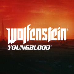 🔥Wolfenstein Youngblood🔥PS4