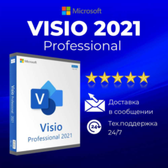 Microsoft Visio Professional 2021