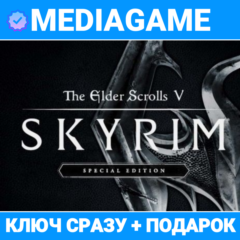 TES V: Skyrim Special edition (steam ключ) + ПОДАРОК