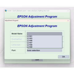 AdjProg Reset- L3161 L3163 L3166 L3167 L3168 L3169