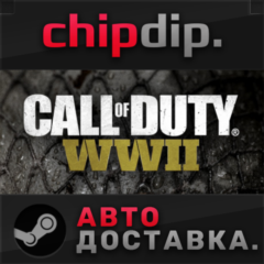 Call of Duty: WWII STEAM АВТО RU/UA/KZ/СНГ