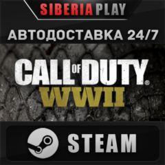 Call of Duty: WWII STEAM АВТО RU/UA/KZ/СНГ