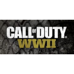Call of Duty®: WWII✅НЕ Все страны❗Steam Key🔑❗️Автовыдача⚡🚀